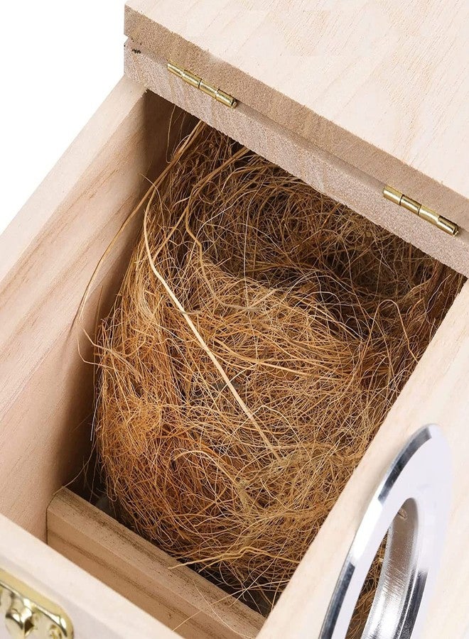 One Top Natural Pure Organic Coconut Fiber for Bird Breeding Box Cage Bird Egg Hatching Inside,Pet Animal Breeding Fiber Other Decoration Hand Craft Purpose - Image 3